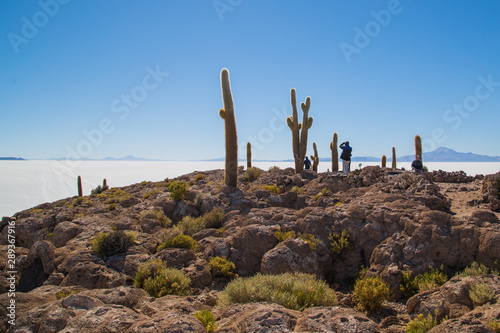 The island of Inchauasi in the salar of Uyuni