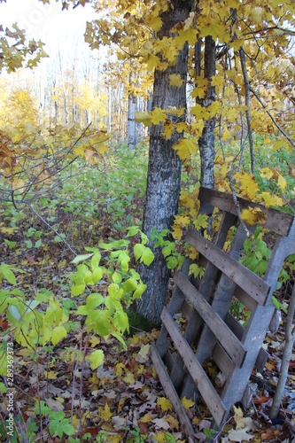Autumn pallet 1