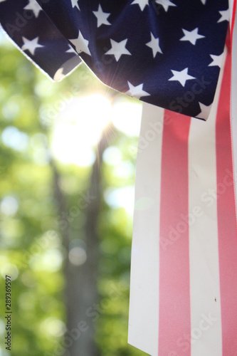 Sunny patriotic ribbon