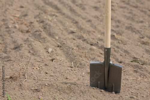 metal shovel stuck in a plot of cultivated land