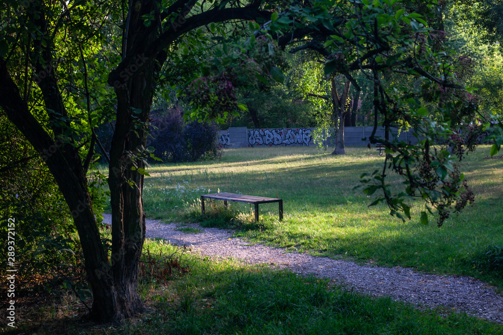 Empty bench in a park at dawn