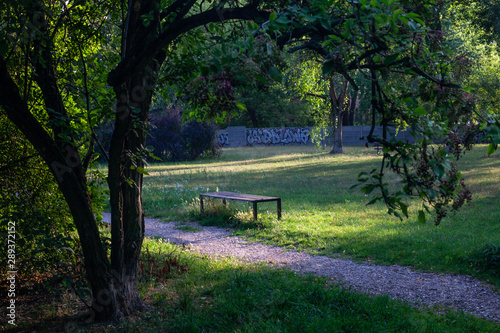 Empty bench in a park at dawn