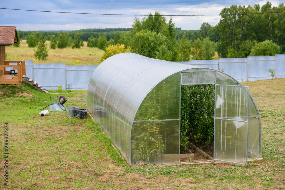 A small greenhouse with plantings inside is near the house, next to it grows green plants and grass A small greenhouse with plantings inside is near the house, next to it grows green plants and grass