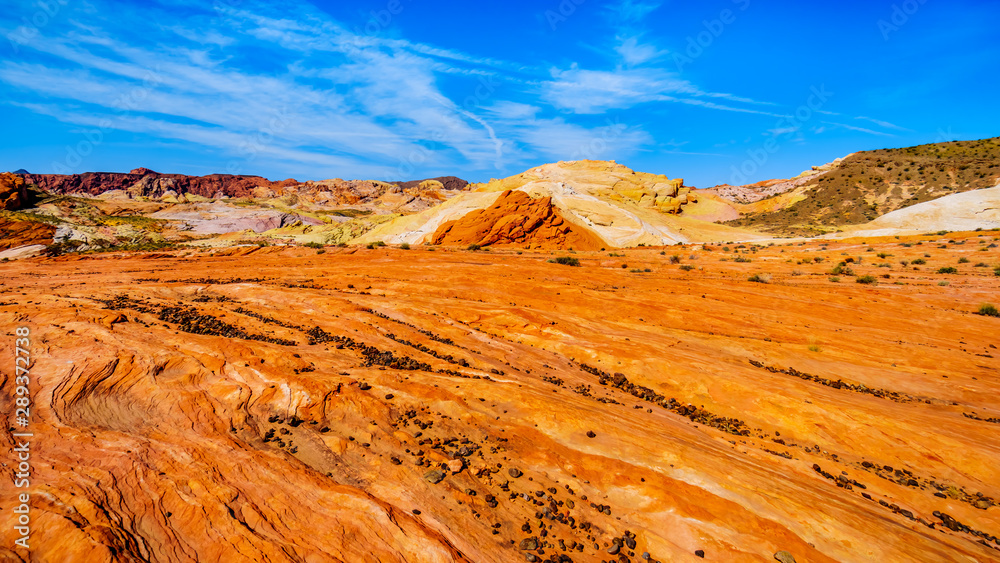 Naklejka premium The colorful red, yellow and white banded rock formations along the Fire Wave Trail in the Valley of Fire State Park in Nevada, USA
