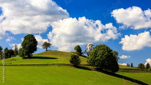 Fototapeta Naklejka Na Ścianę i Meble -  Beskidy Cieńków