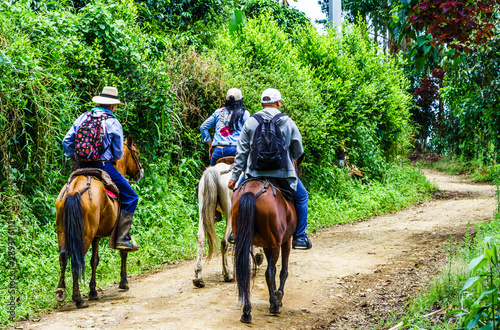 View on people doing horse trekking in Colombia