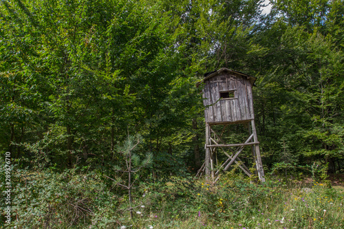 Hidden observation tower in the forest