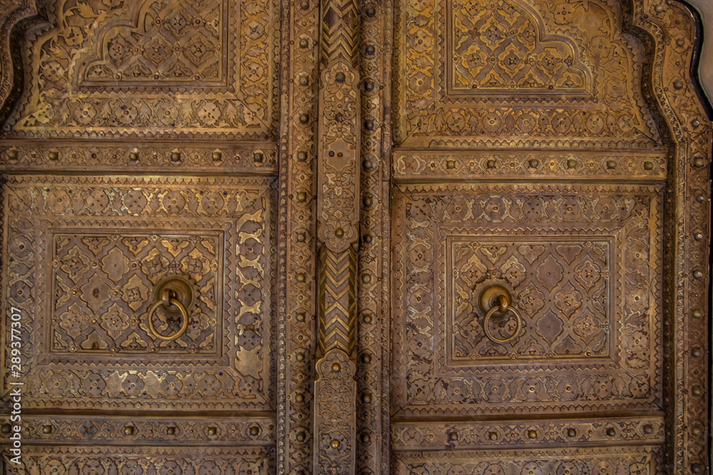 Fort in Jaipur and details on the door