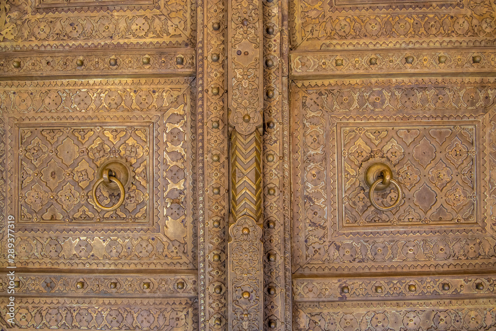Fort in Jaipur and details on the door