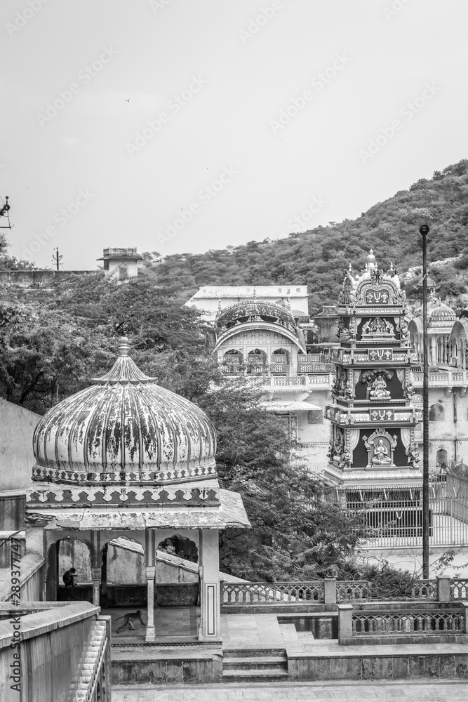 Monkey temple in Jaipur