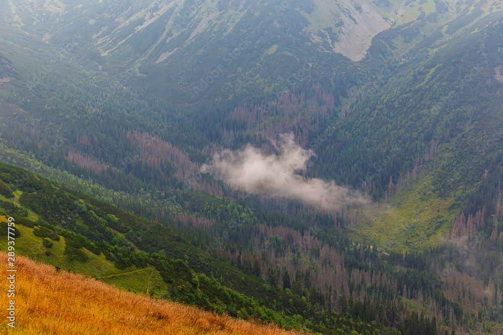 Fog spreads in Tatra mountains Fog spreads in Tatra mountains