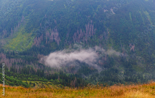 Fog spreads in Tatra mountains