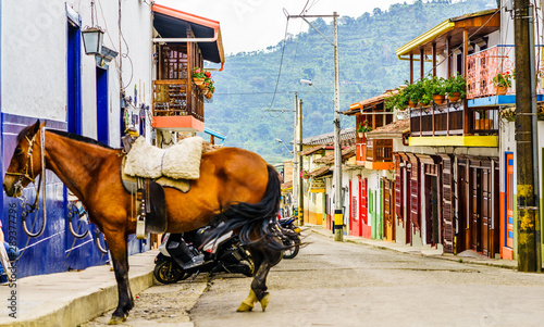 View on horse in the colonial village of Jardin in Colombia © streetflash