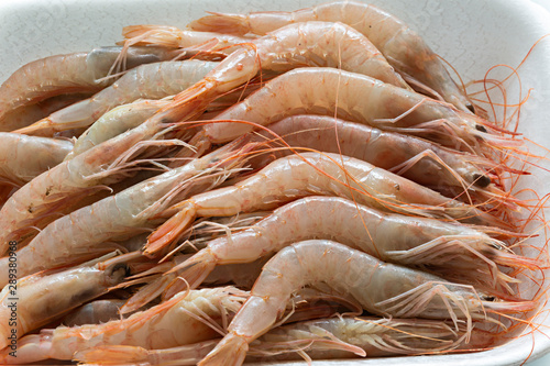 Photos Gamba blanca fresca de Huelva.