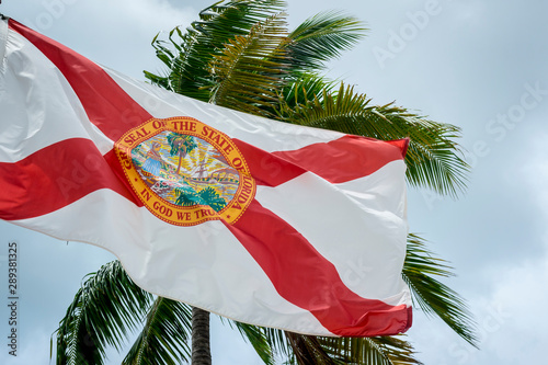 The flag of Florida blowing against palm trees in soft gray sky