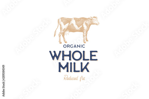 Hand drawn cow in technique of engraving. Template for logo, emblem in vintage style for dairy stores and markets with high quality food. Vector illustration of farm animal on light background.
