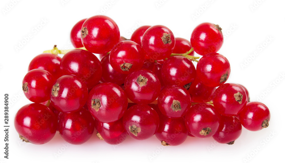 Red currant on white background Red currant on white background