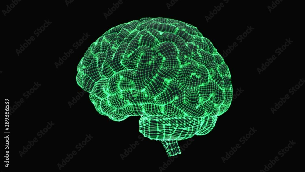 Alpha Channel 3D Wireframe laser scan of human brain with Rotating 360 ...