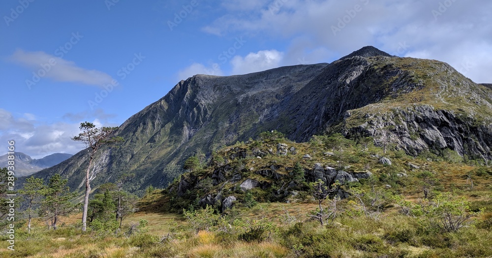 Obraz premium Snøhornet