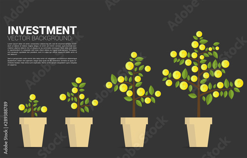 Grow up money tree with dollar coin. Background concept for financial investment and money saving