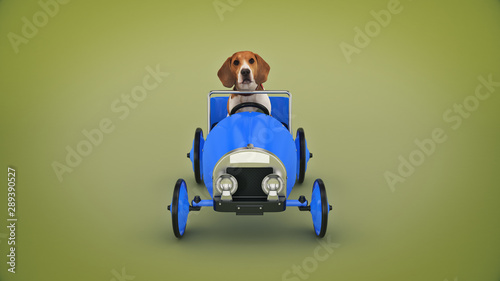dog driving toy car. 3d rendering