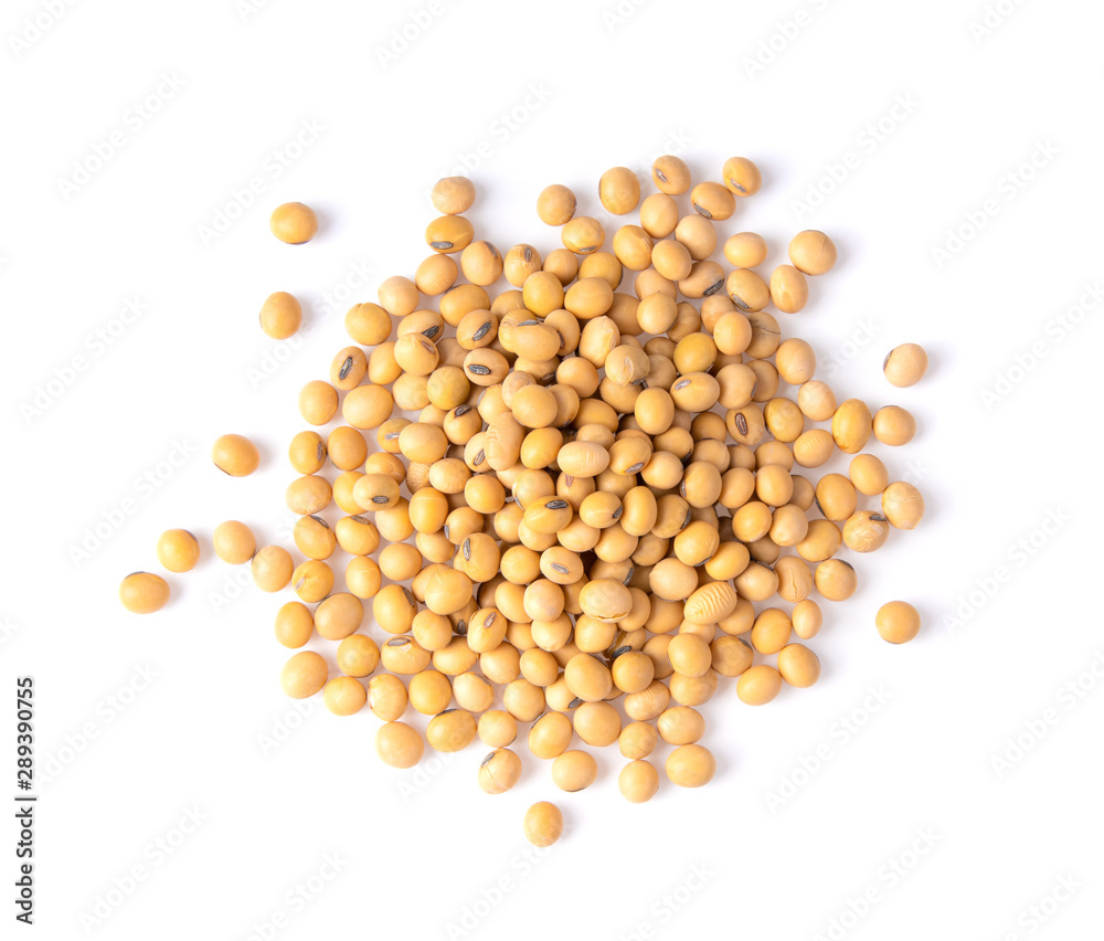 Close up Soybean isolated on a white background. top view Close up Soybean isolated on a white background. top view