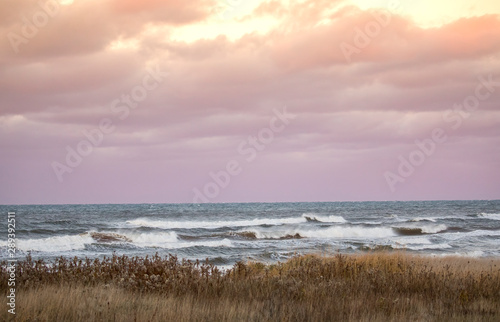 Fototapeta Naklejka Na Ścianę i Meble -  Beach Dune