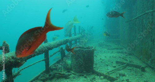 Shipwreck, reefs of Sea of Cortez, Pacific ocean. Isla Espiritu Santo, Baja California Sur, Mexico.