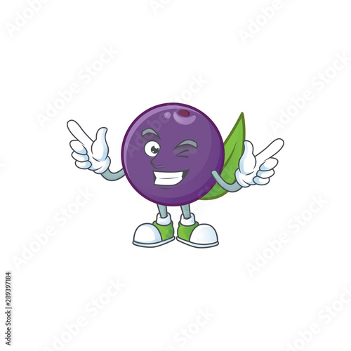 Wink acai berries cartoon character for health