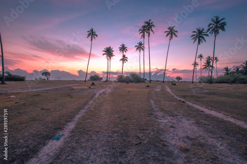 The natural background of the morning sunrise by the sea, with the trees surrounding the beach (coconut trees), blurred breezes, peaceful atmosphere and fresh air, seen during travel