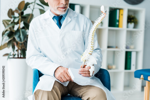 cropped view of bearded doctor in white coat holding spine model in clinic