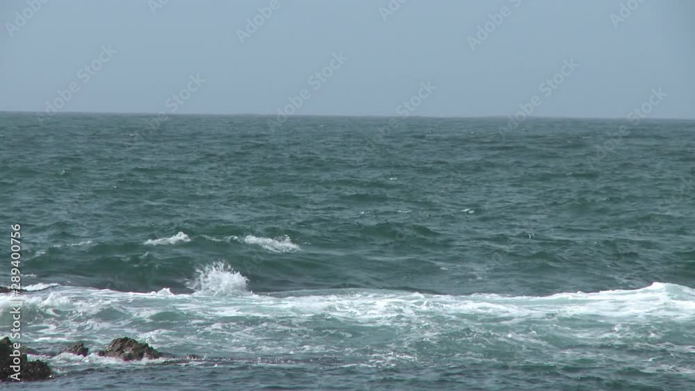 Steady, wide shot of waves forming in the sea. Steady, wide shot of waves forming in the sea.