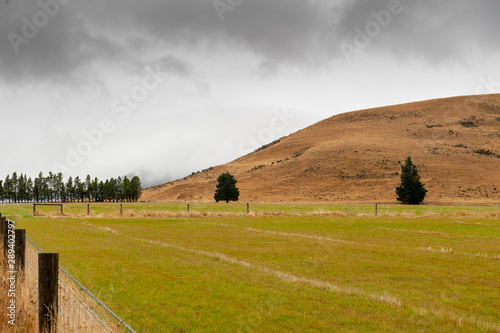 Road to Lake Pearson￨Moana Rua￨South￨New Zealand photo