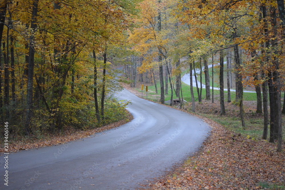 road in autumn road in autumn