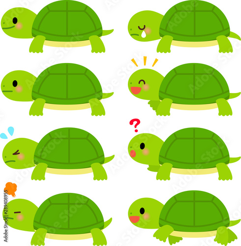 かわいい亀の表情イラストセット Stock Vector Adobe Stock かわいい亀の表情イラストセット Stock Vector Adobe Stock