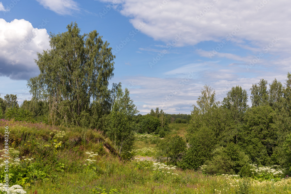 green summer landscape