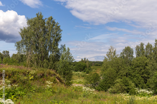 green summer landscape
