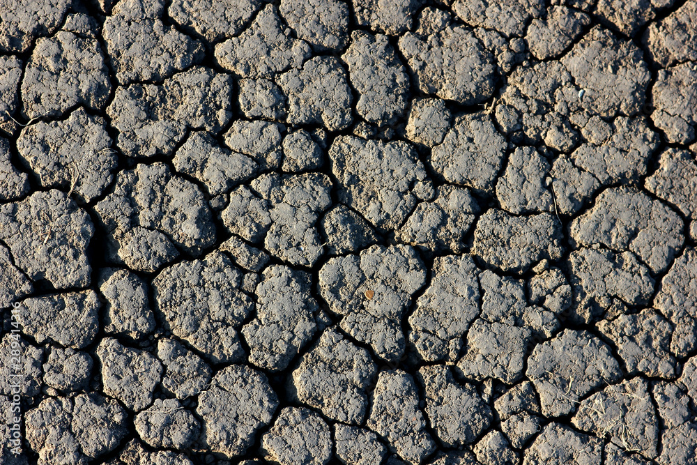 background with dried earth covered with cracks background with dried earth covered with cracks