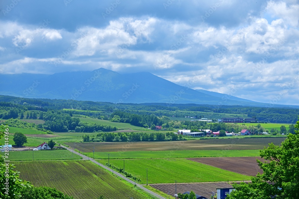 十勝連峰をバックに広がる広大な大地の情景＠富良野、北海道