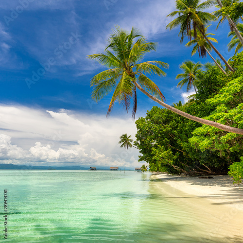 Fototapeta Naklejka Na Ścianę i Meble -  Idillyc landscape of tropical beach - warm sea, palm trees, blue sky