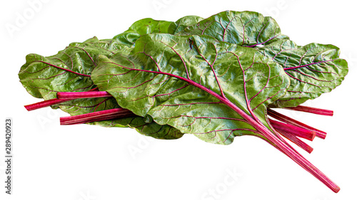Canvastavla Rhubarb vegetable isolated on white background