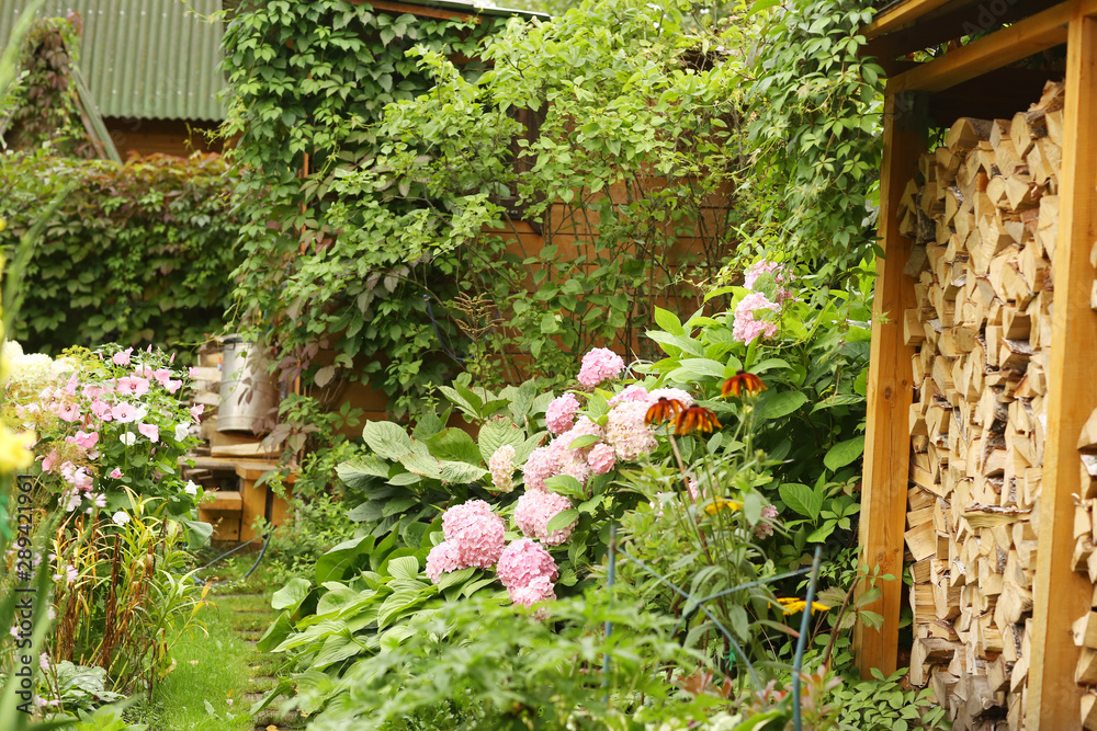 formal garden with hydrangea flowers, gladiolus, flox and wood store summer green photo formal garden with hydrangea flowers, gladiolus, flox and wood store summer green photo