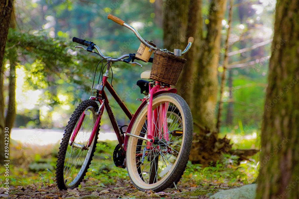 Fototapeta premium Bikes