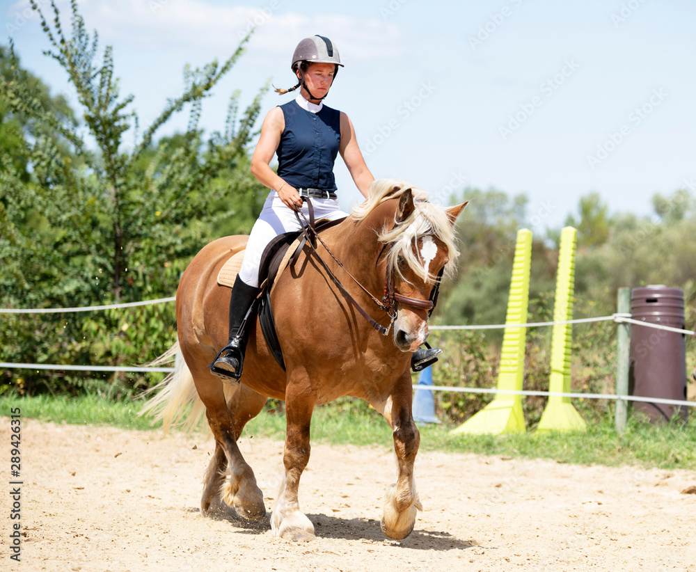 riding girl and horse