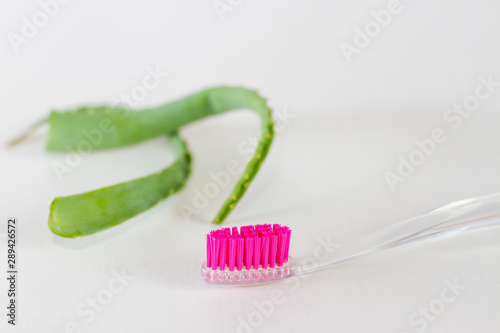 aloe vera leaves with toothbrush on white background. health concept
