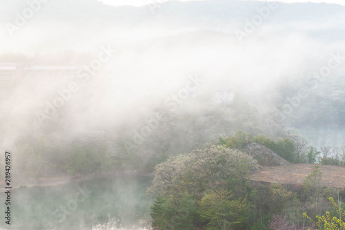 朝靄に包まれた湖と木々 © sigmaphoto