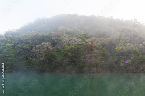 朝靄に包まれた緑の水の湖