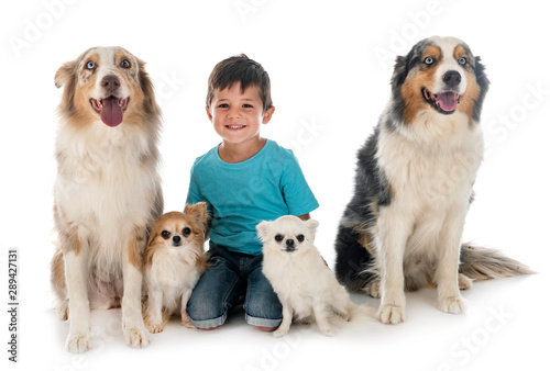 child and dogs