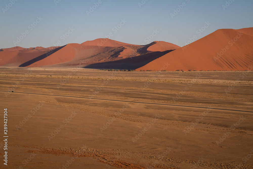 African dune 