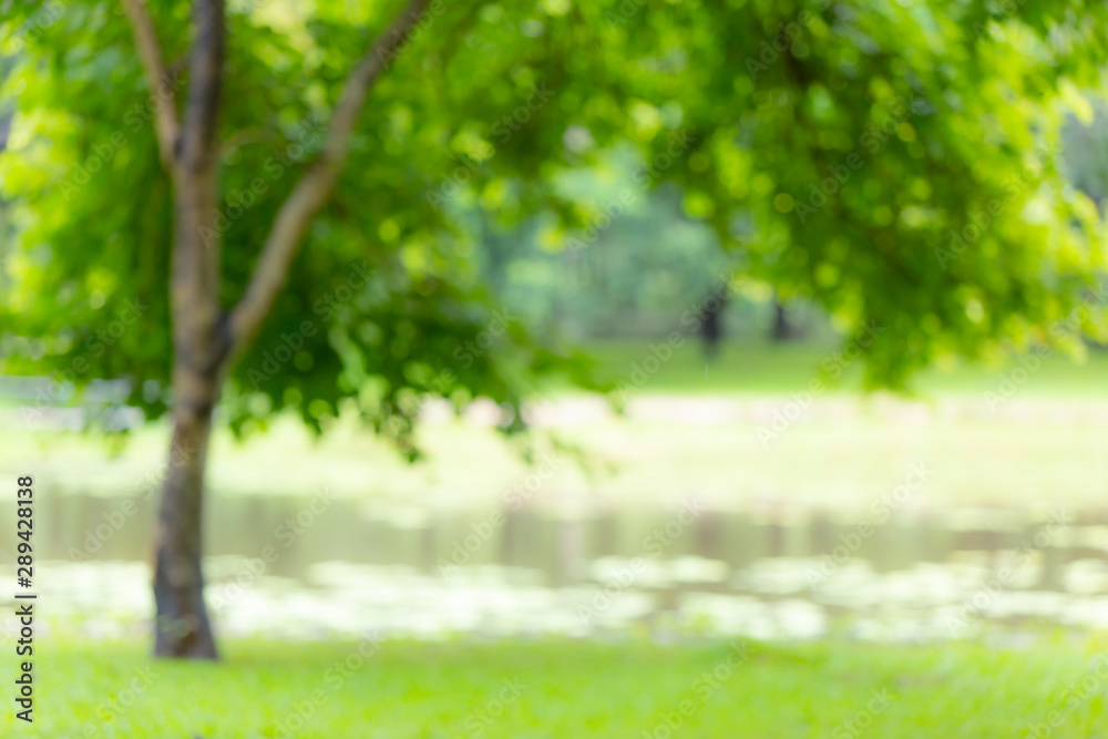 Blur green tree park outdoor grass field with lake for background Blur green tree park outdoor grass field with lake for background